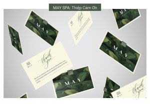 Ari Projects combine