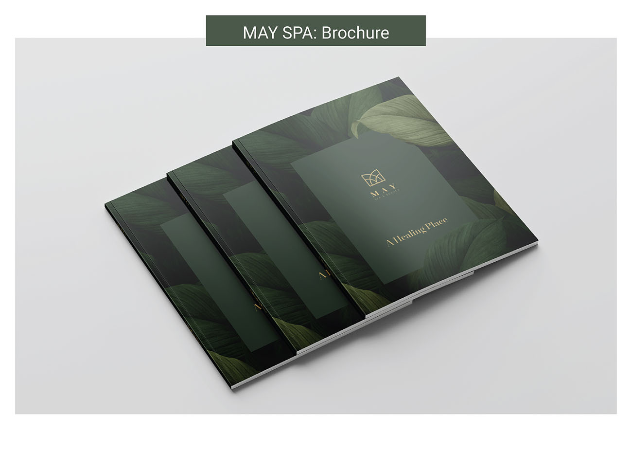 Ari Projects combine