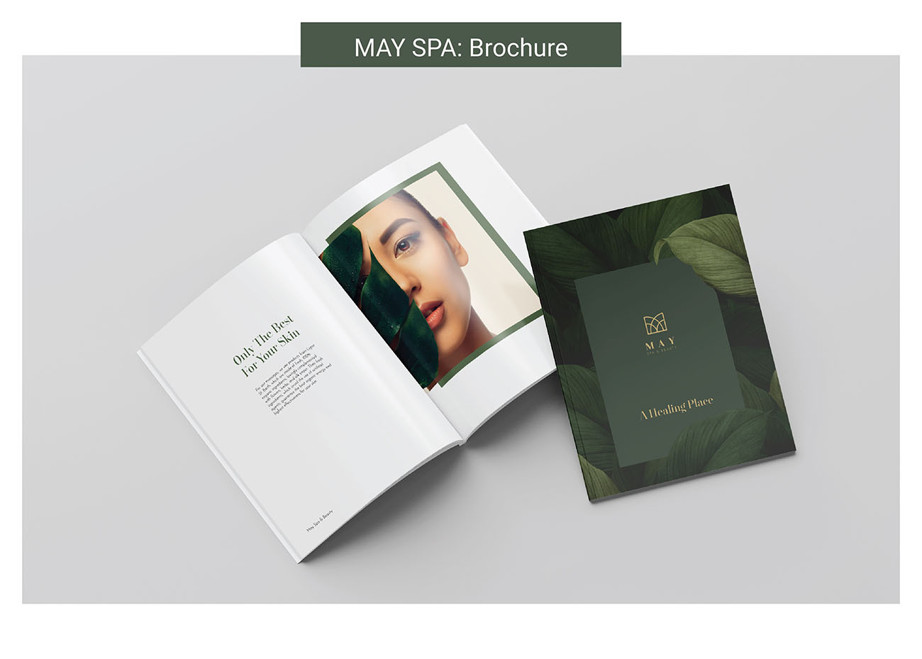 Ari Projects combine